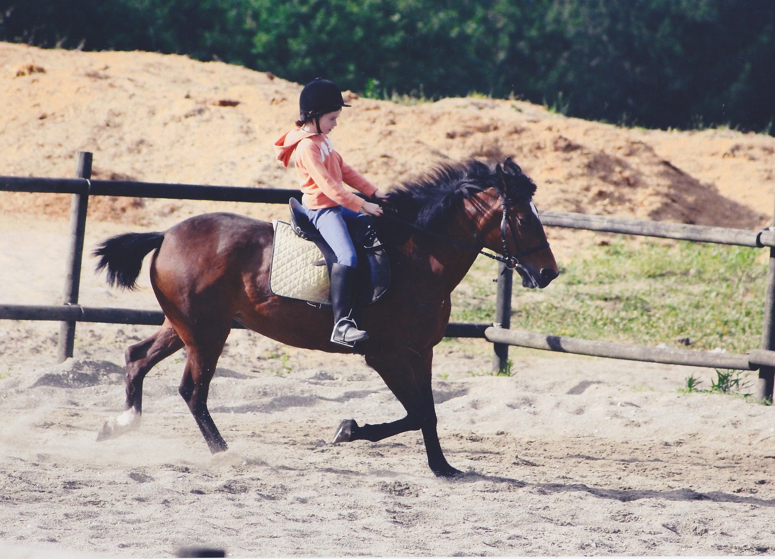 Hobbies - Imagen 1